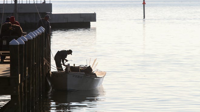 A fisherman unloads his catch of oysters at Mississippi's Pass Christian Harbor.