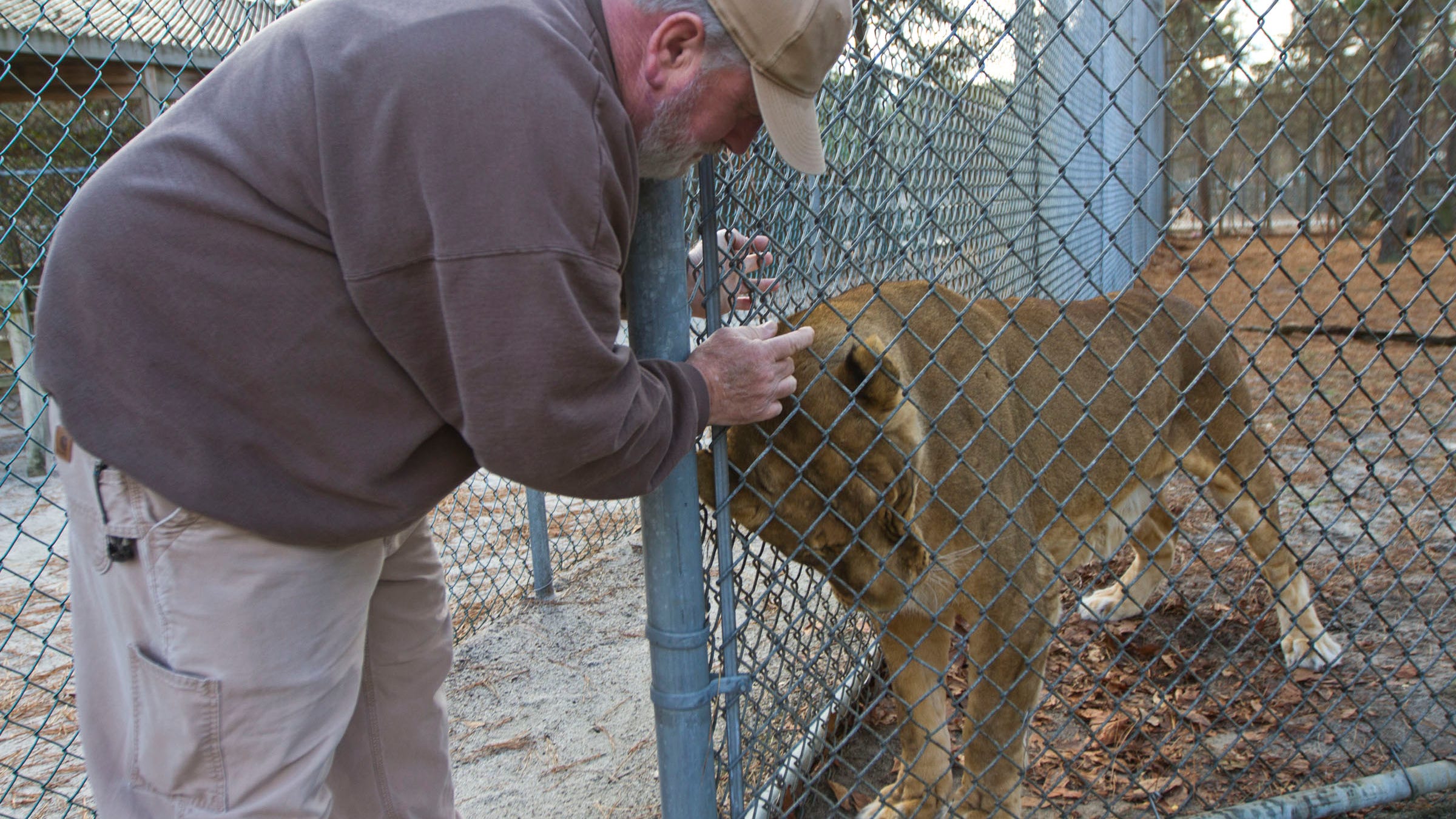 Popcorn Park Zoo makes animals