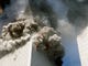 Twin Towers interior designer recalls horror of 9/11