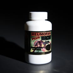 What is Reumofan Plus?