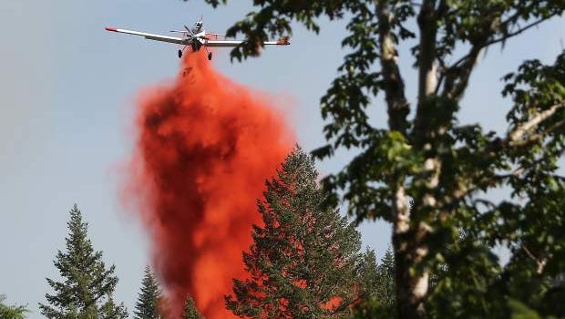 A single-engine air tanker based out of Roseburg drops fire retardant on the Cable Crossing Fire.