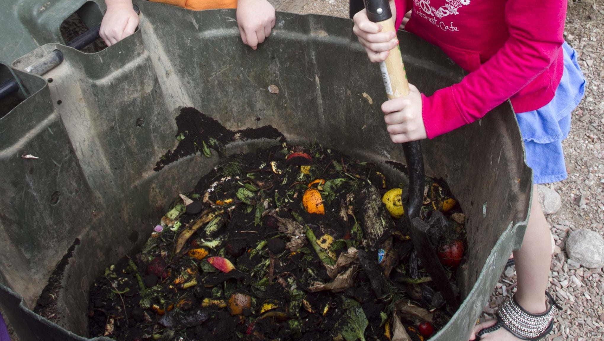 Americans waste food because we're confused and because we can afford it