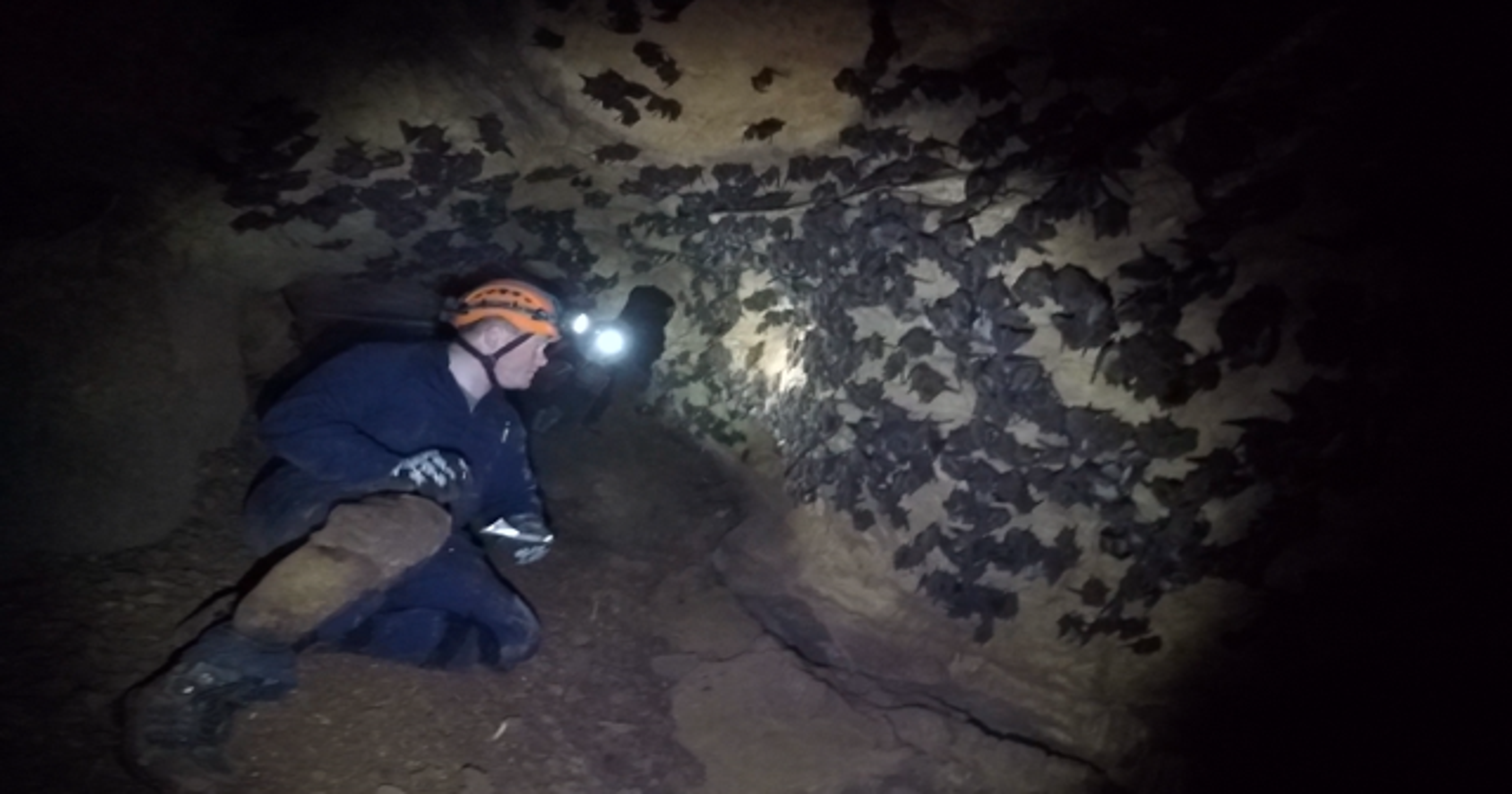 haunted bat cave
