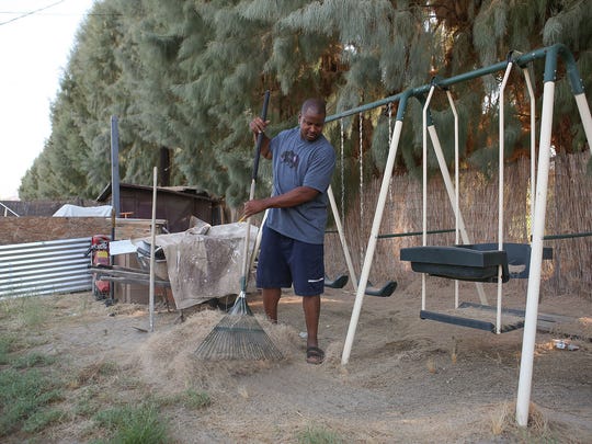 In Palm Springs, trees once planted for 'racist' reasons will be ...