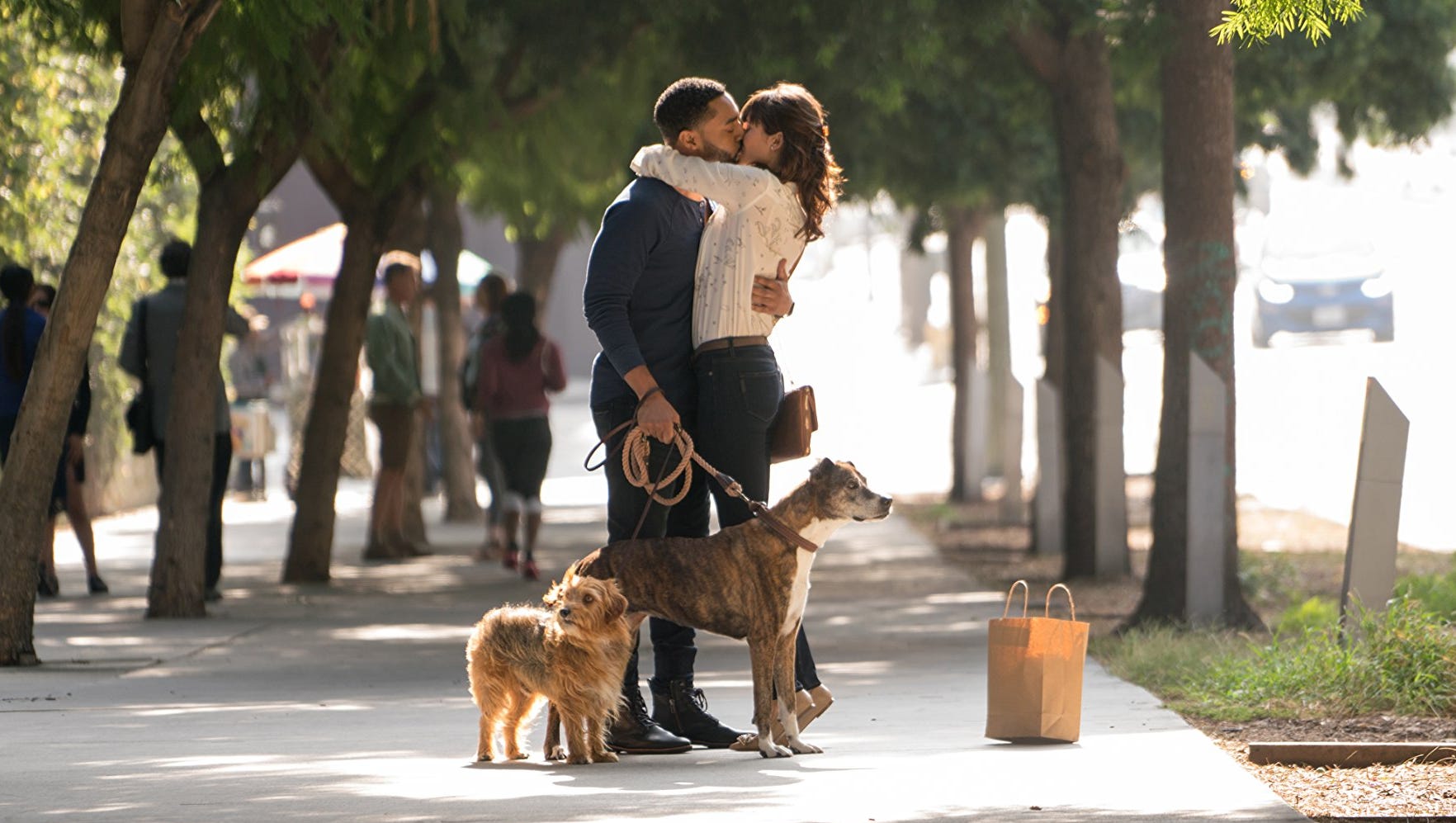 Movie review 'Dog Days' a cutebutsterile comedy about man's best friend
