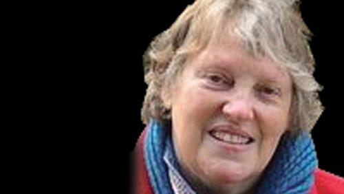 Yard mattress and breakfasts for birds, bees and bugs