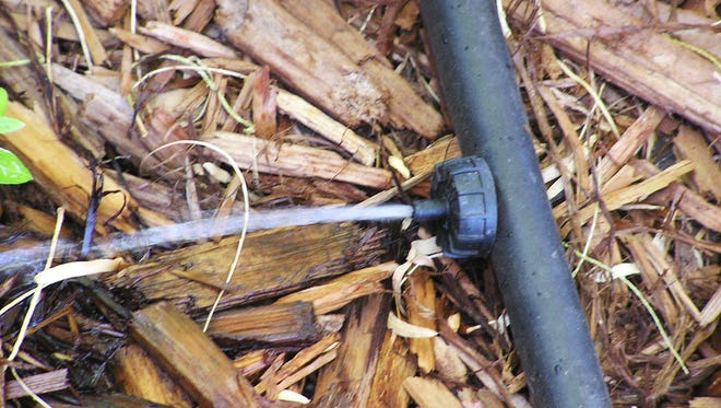 Drip irrigation slowly applies water to a specific area providing many advantages and avoiding water run-off and waste.