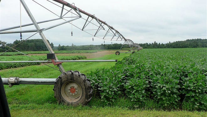 The linear irrigation system will water in a 1,200-foot path.