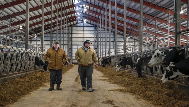 Richard Micke and his son Brian walk through one of their barns inspecting their cows in Reedsville.