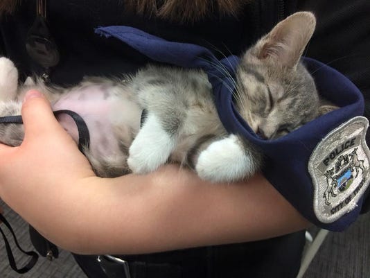 Troy Police Swear In Replacement Cat After 1st Falls Ill