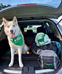 pet supplies plus adoption center