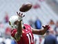 Arizona Cardinals wide receiver Larry Fitzgerald (11)