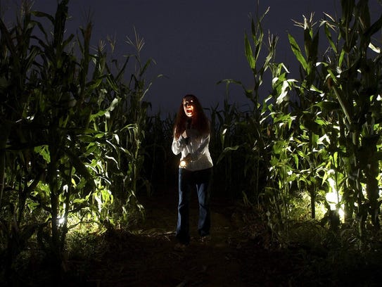 The Haunted Corn Field at Buckelew Farms in Tucson.