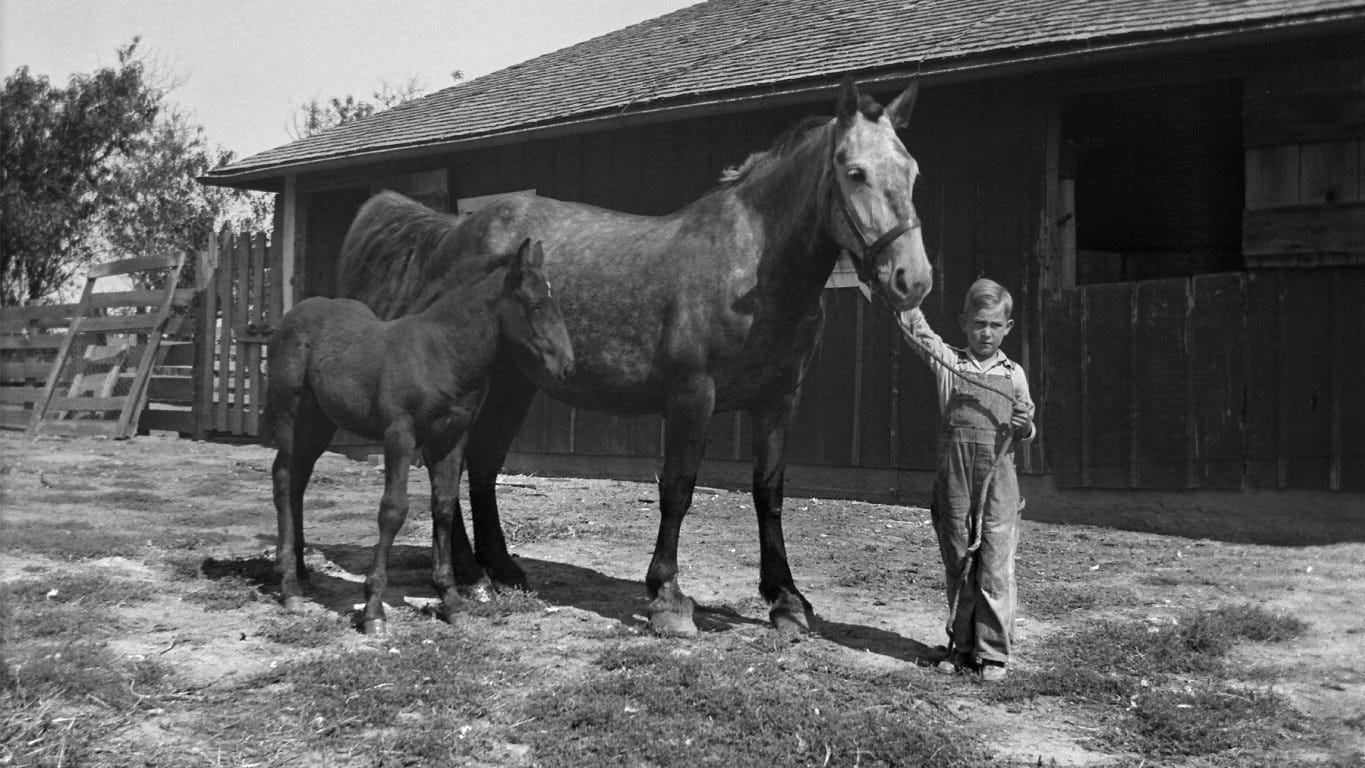 How much was a gallon of milk in 1970 4 247WallSt.com 247WS 481404 imageforentry785