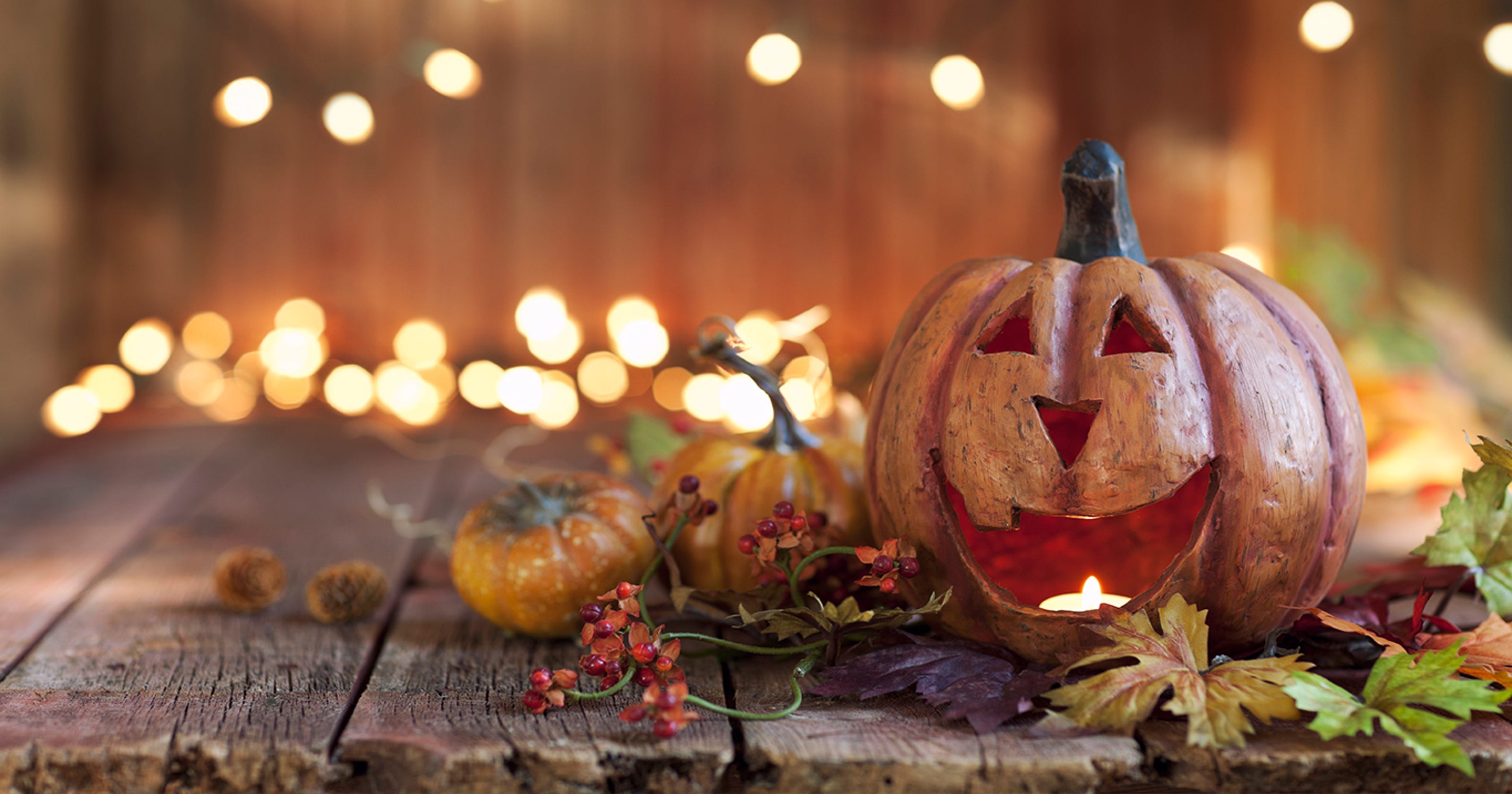 Images Of Pumpkins National Pumpkin Day 2018 All the places to get a pumpkin