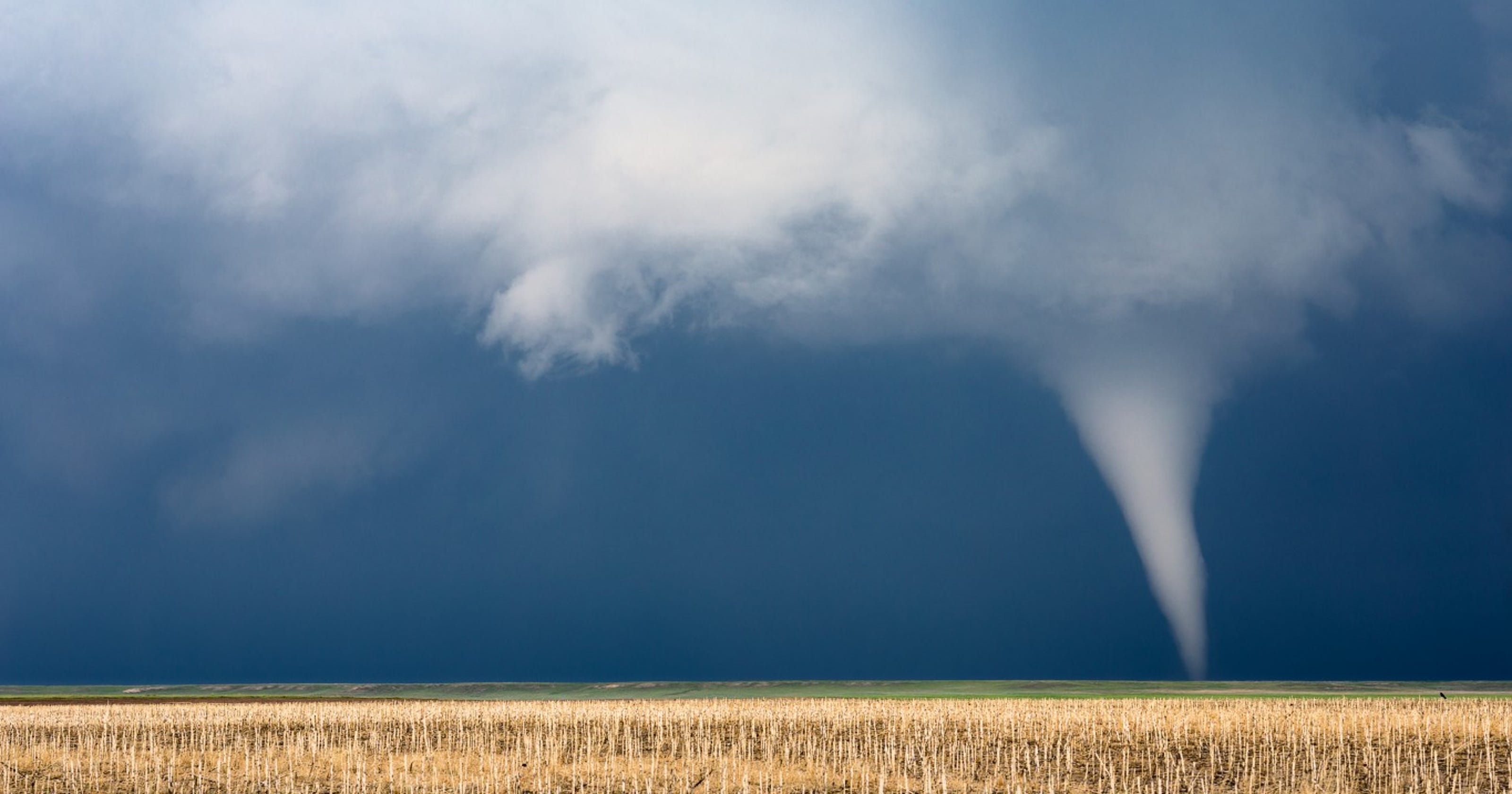 Tornado kills people in Alabama, severe storms hit Southeast