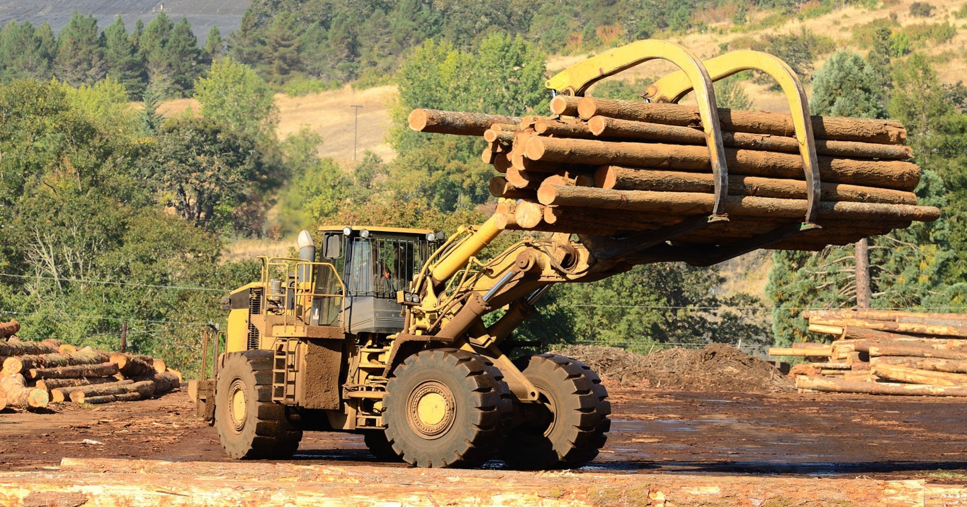 Coos Bay lumber mill to be shutdown, will lay off 111