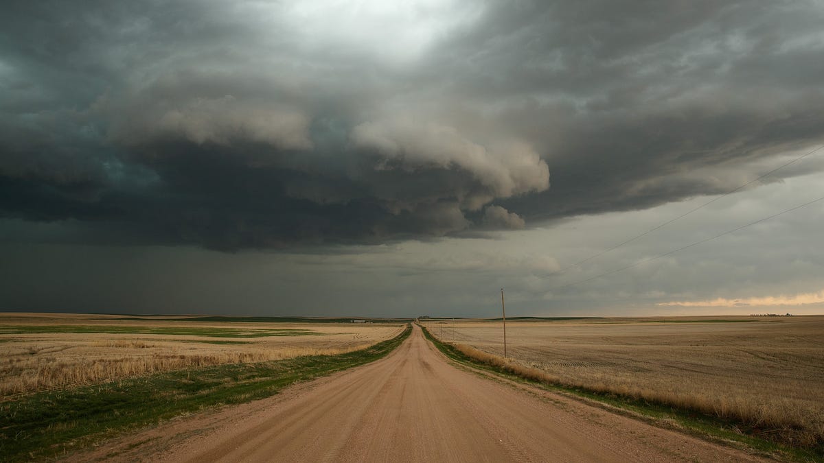 Getting Caught In A Tornado With Ronald
