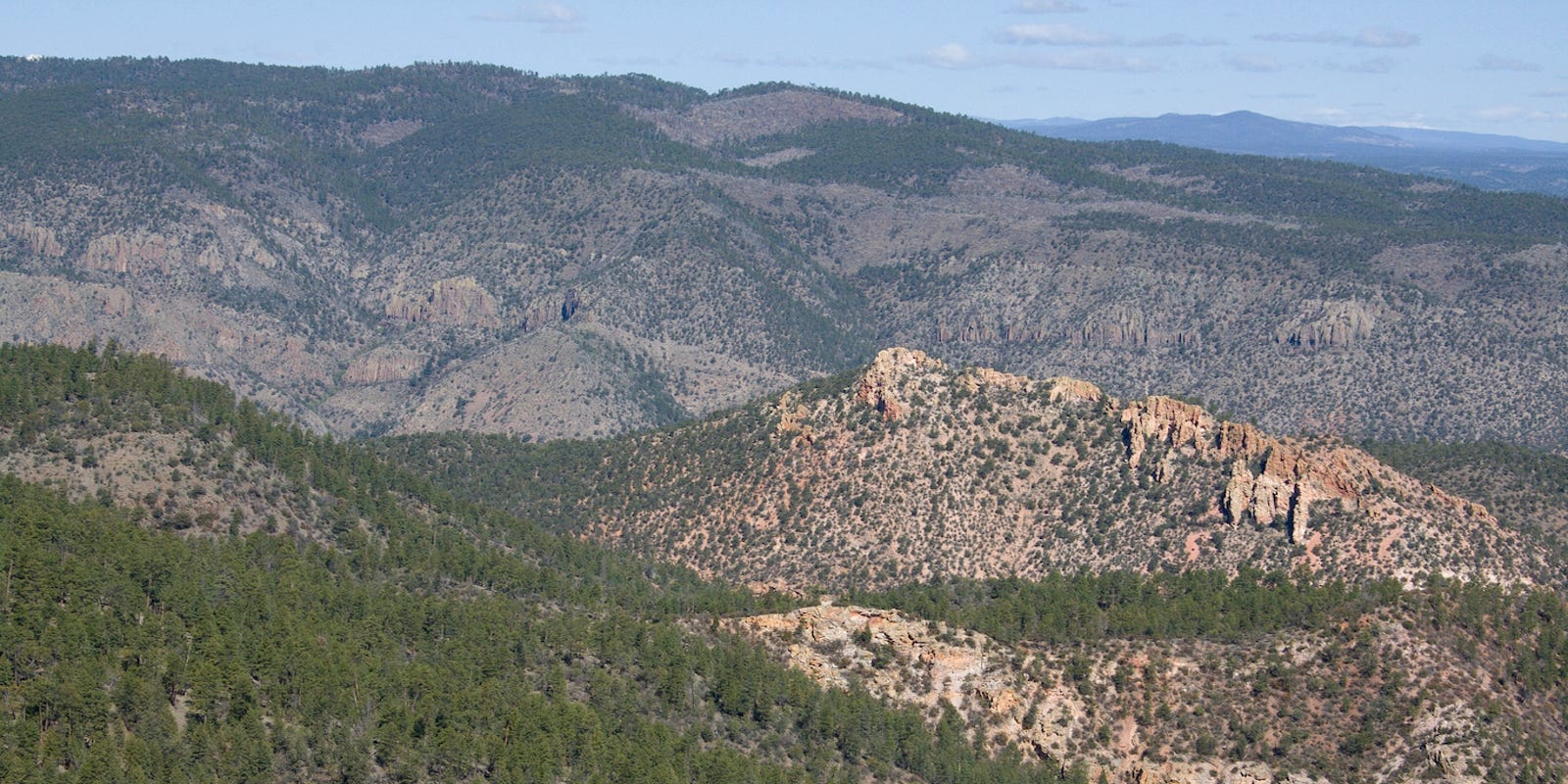 New Mexico Residents Can Get Firewood After Tree Cutting Ban Altered