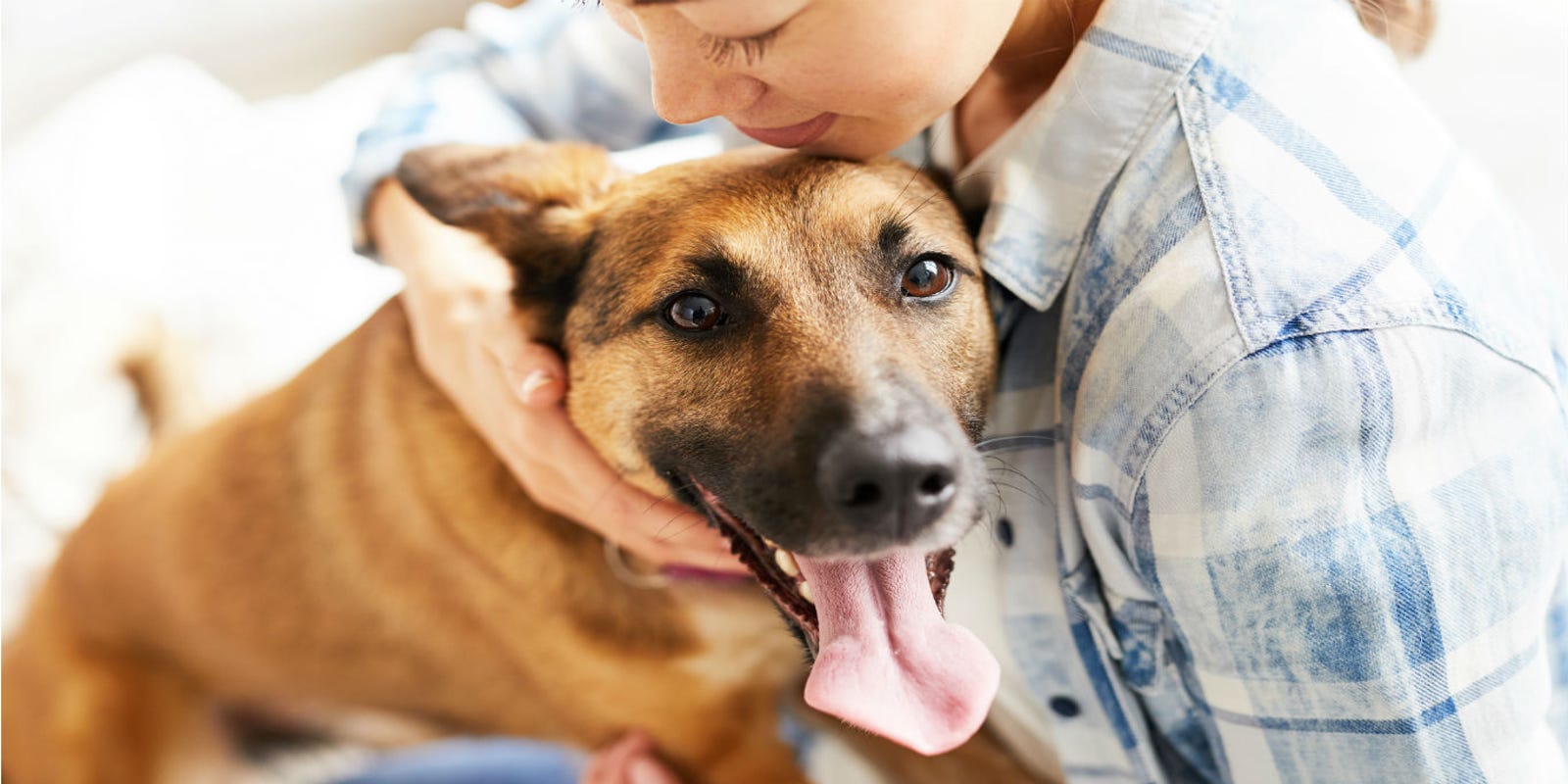 Owning a dog can help you live longer, study suggests