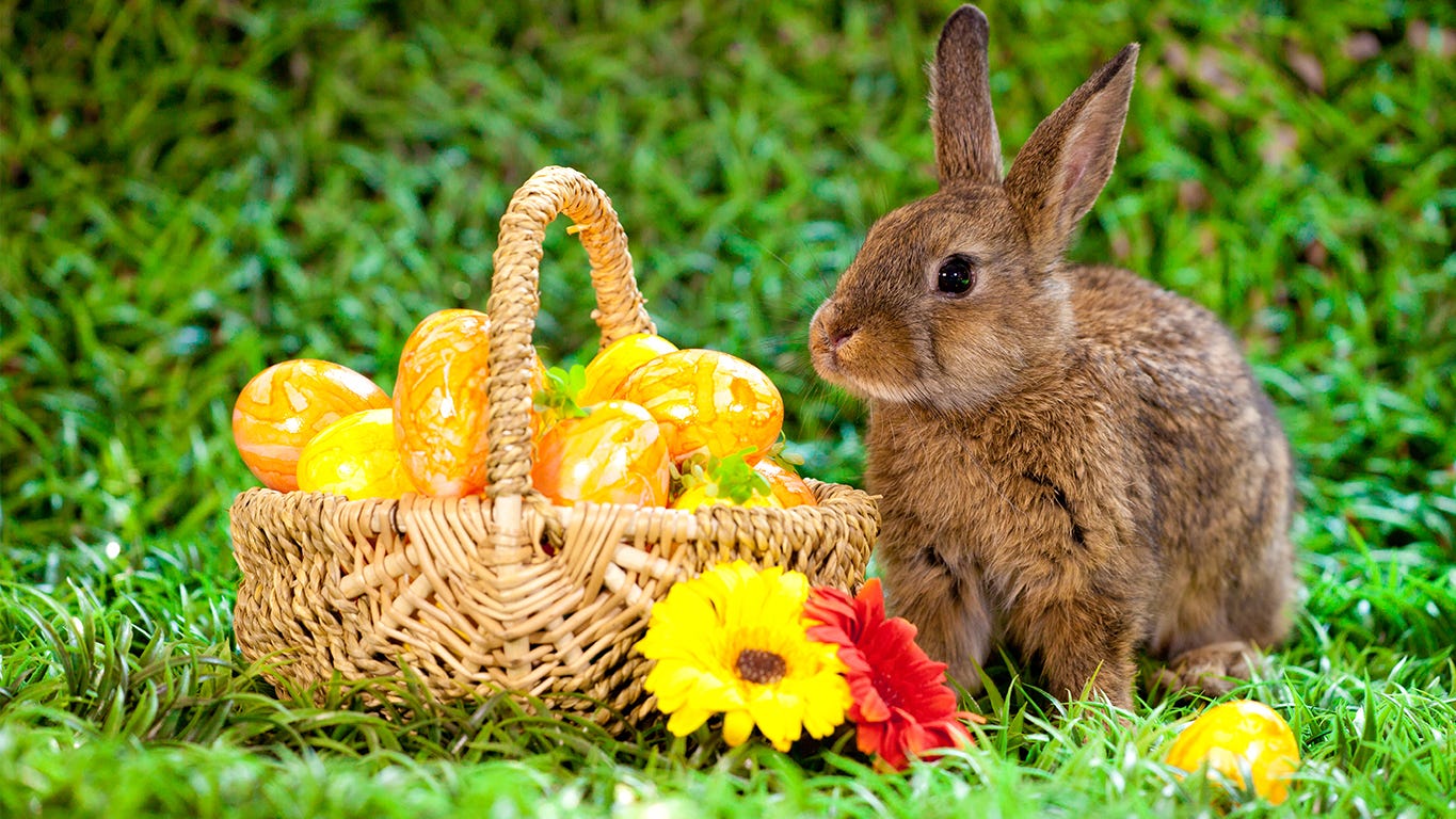 Easter and Good Friday 2022: What's open and closed?
