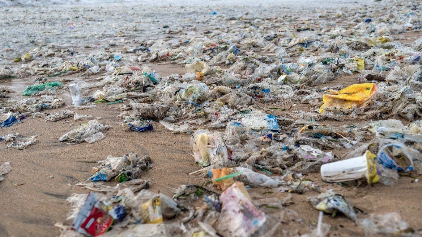 Beverage bottles, food packages, and shopping bags are among the most common plastics that wind up in garbage bins -- and eventually the oceans -- after only one use.