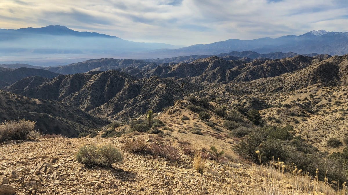 18. San Bernardino, California     • Hike recommendation:  Daley Canyon Trail in San Bernardino National Forest
