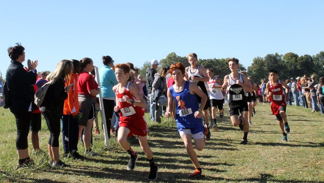 Boys competing in the Cross Country Stat Finals