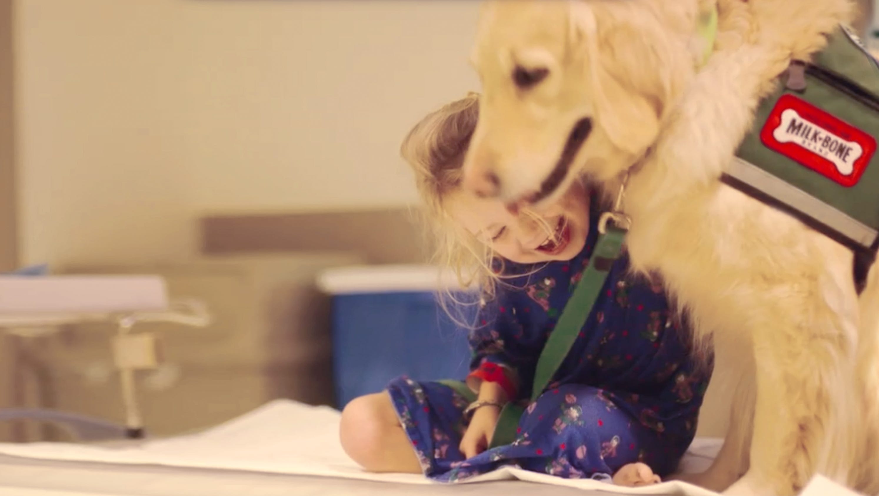 milk bone customer service