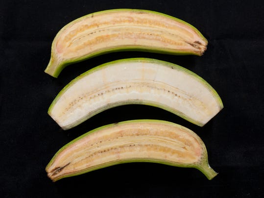 Banana Before Gmo Drone Fest Every xbox profile has a gamerpic, the picture shown next to your gamertag. banana before gmo drone fest