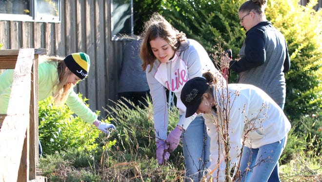 Students from Notre Dame High School take part in Mercy Movement Day community service activities.
