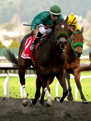 Zakaroff and jockey Kyle Frey run ahead in this file photo from the El Camino Real Derby at Golden Gate Fields.