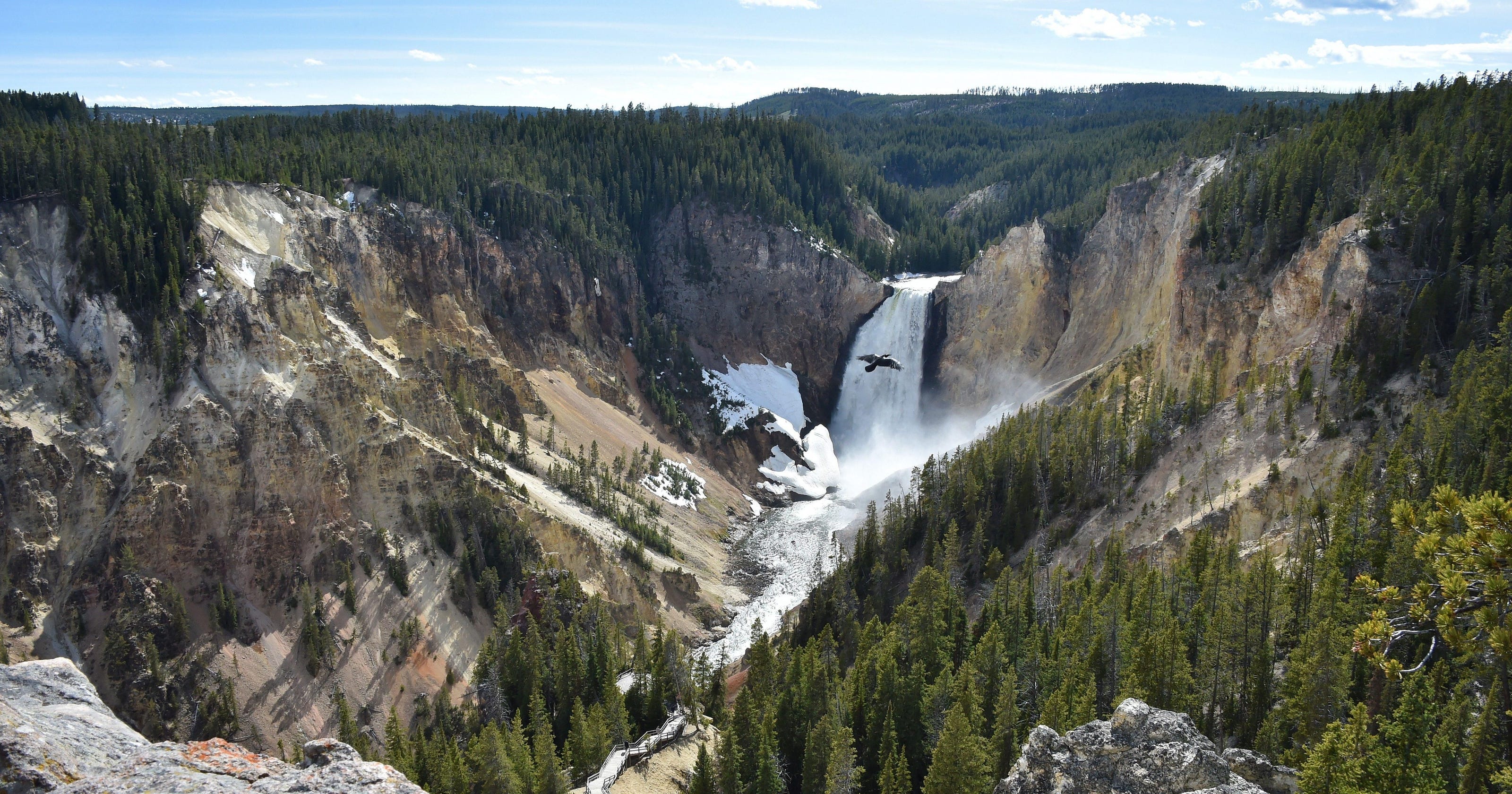 Yellowstone National Park Tips for exploring the park