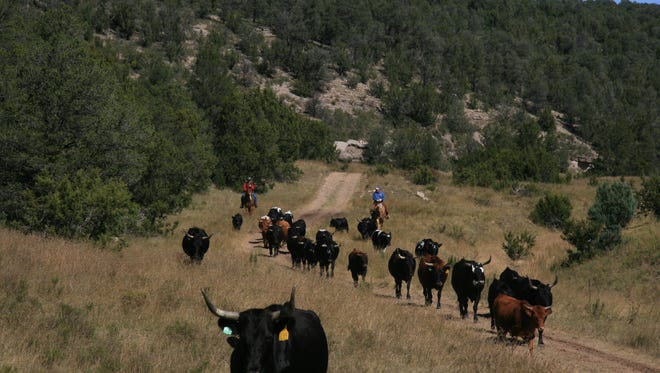 Plenty of active ranches in Lincoln County graze on federal or state land as extensions.