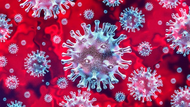 A coronavirus colony.