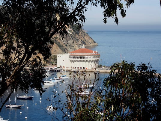 Catalina Island Hollywood History Grazing Buffalo And A