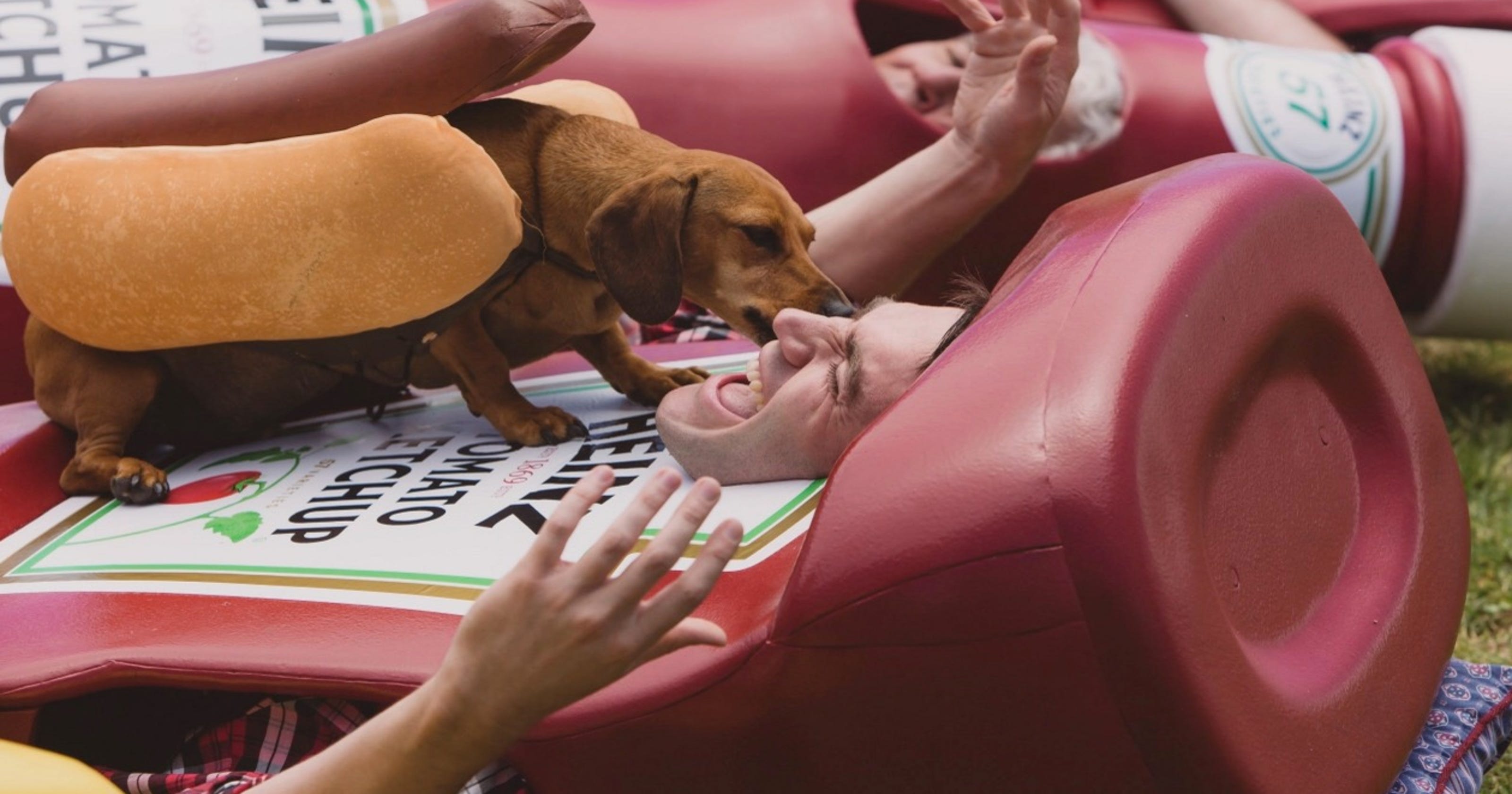 Heinz Super Bowl ad features cute stampede of wiener dogs