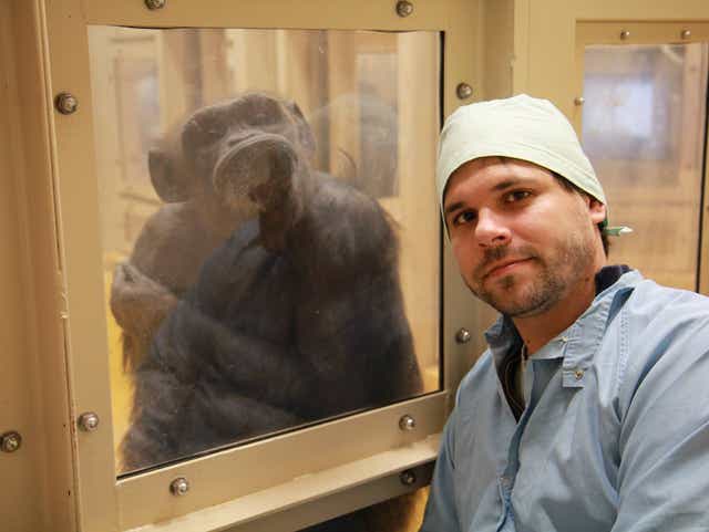 Think You Re So Smart Ask A Chimp