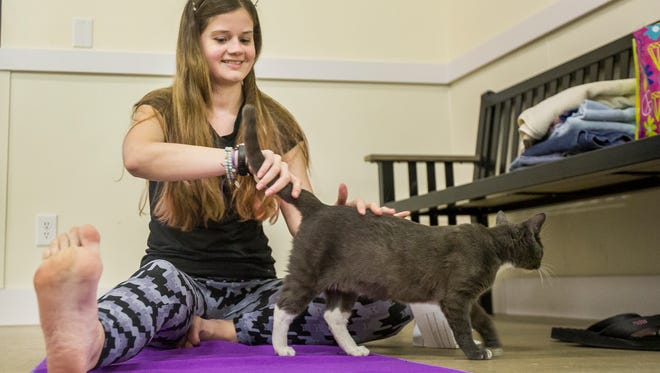 Yoga instructor Sara Cardile runs her hand over a cat's tail while leading a "cat yoga" class at the Brandywine Valley SPCA in New Castle on Tuesday night.