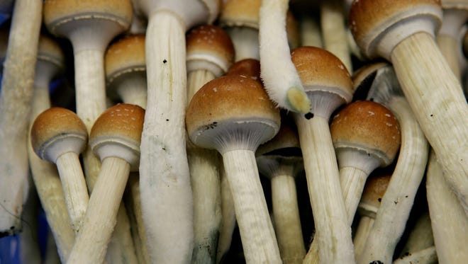 Doctors could tap 'shrooms to relieve pain