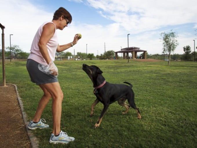 36 Phoenixarea dog parks for you to visit