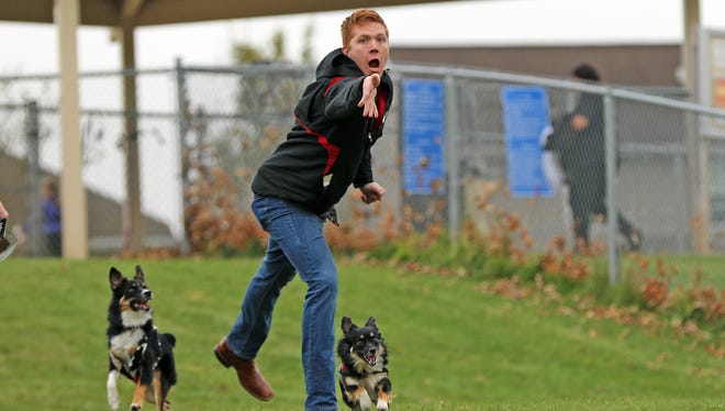 An owner tosses a disc for his pooches at the Ankeny Dog Park.
