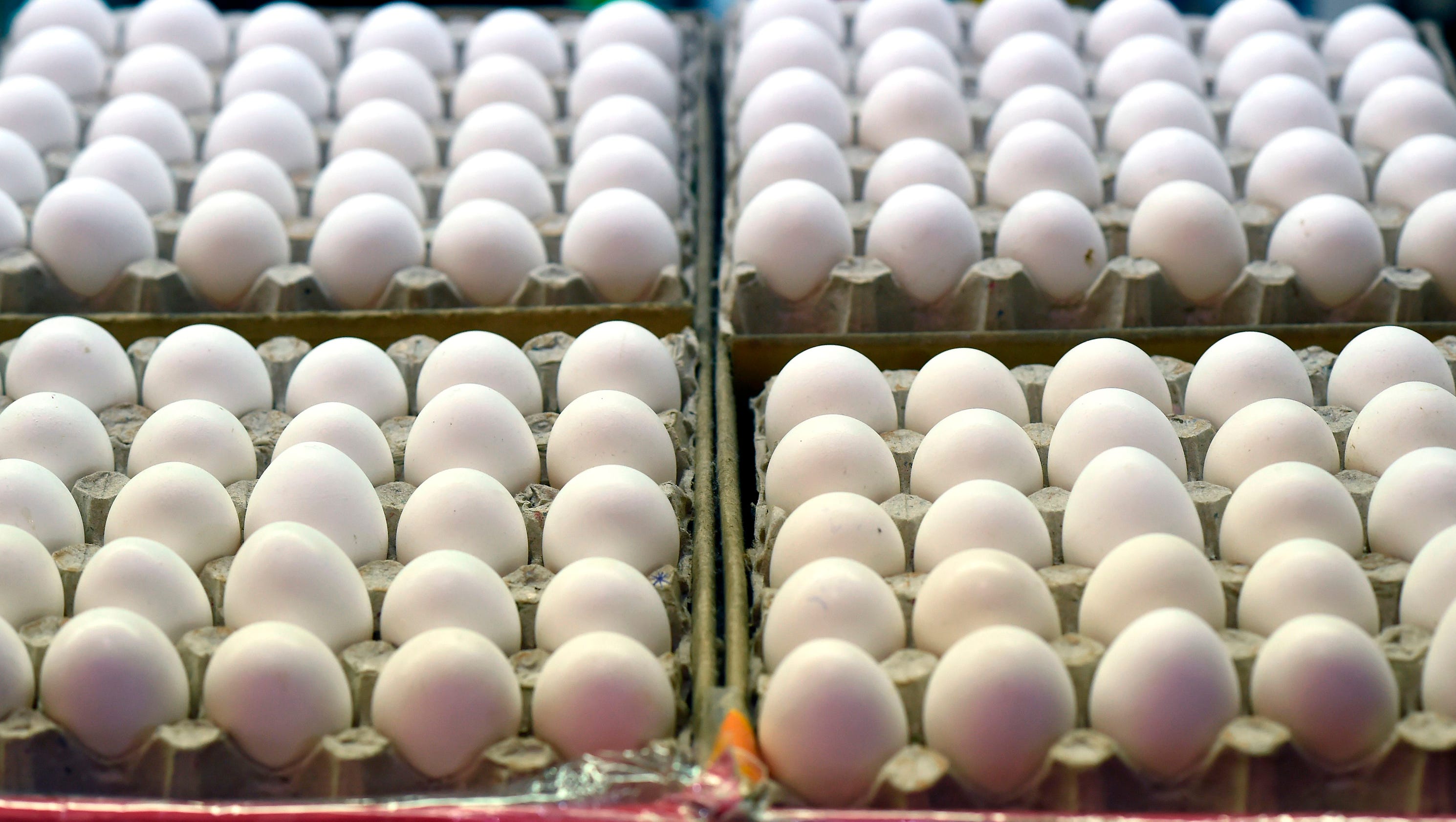200 million eggs recalled over salmonella fears