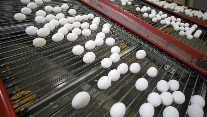 About 5.3 million laying hens in northwest Iowa will be destroyed to prevent the spread of avian flu, but the move is expected to have a limited effect on the egg market, say Iowa State University economists. Iowa, the nation's largest egg producer, has about 50 million hens and supplies nearly 1 in every 5 eggs consumed in the United States.