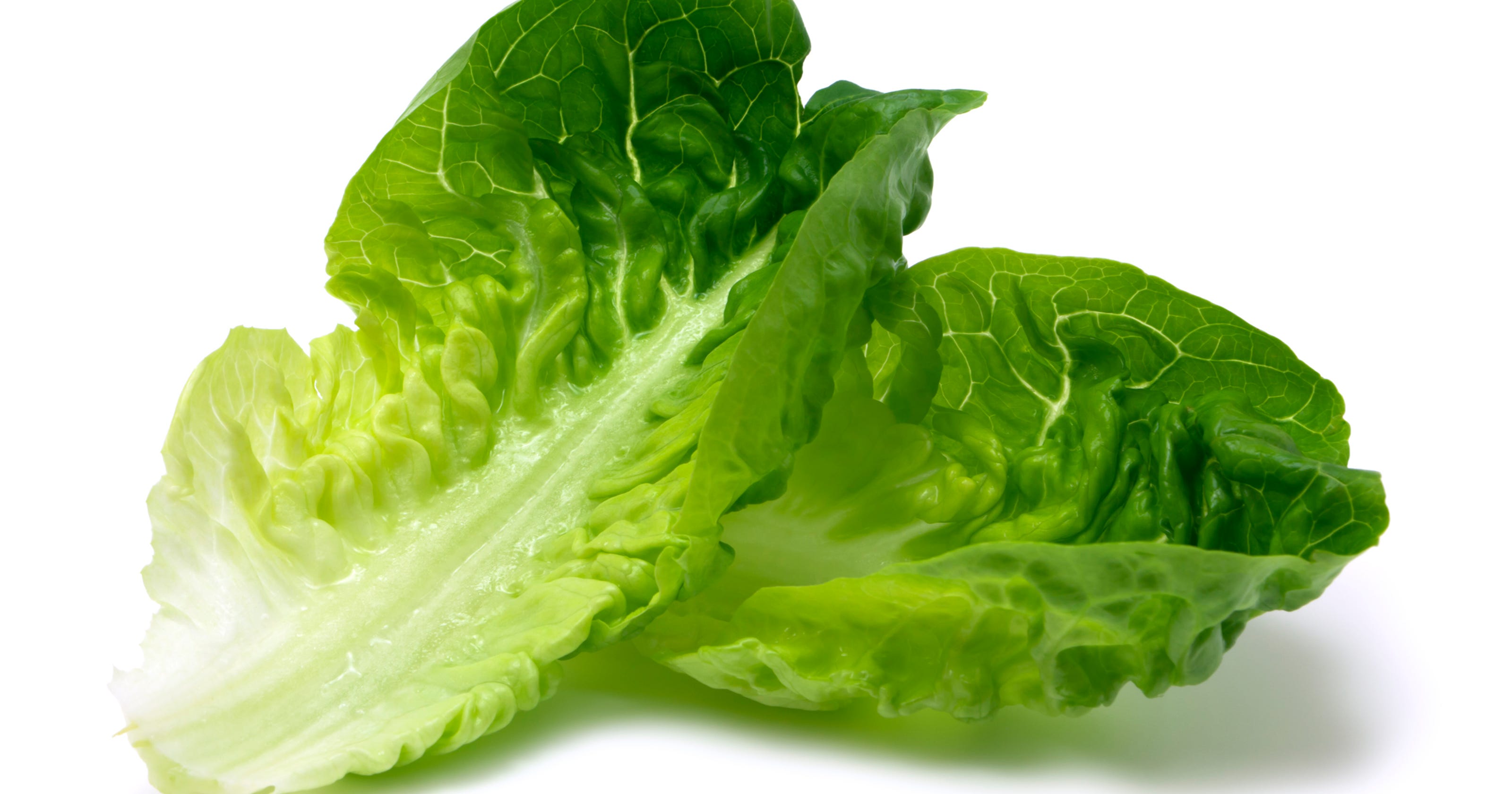 Romaine lettuce CDC warns of E. coli outbreak in 11 states