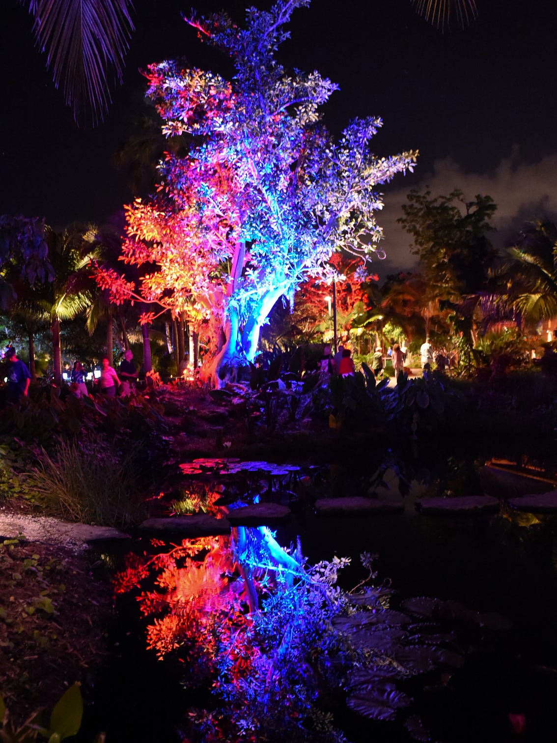 Garden Naples Lights Botanical