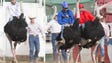 Cody Blevins, left, Shayne Stocking and Richard Vandeusen