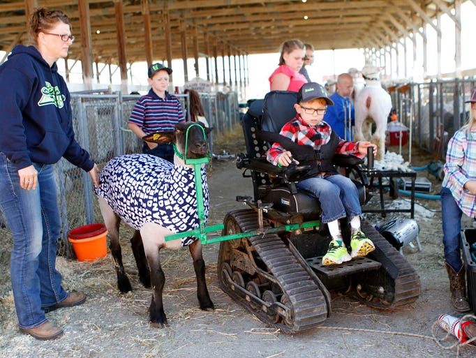 Braden Pederson, 10, leads his sheep out of a barn
