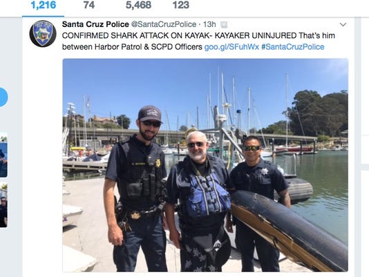 Great White Shark Attacks Kayak Off The Coast Of Santa Cruz