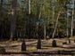 The Primitive Baptist Church cemetery in Cades Cove
